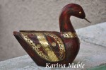 kaczka