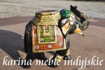 indyjskie słonik